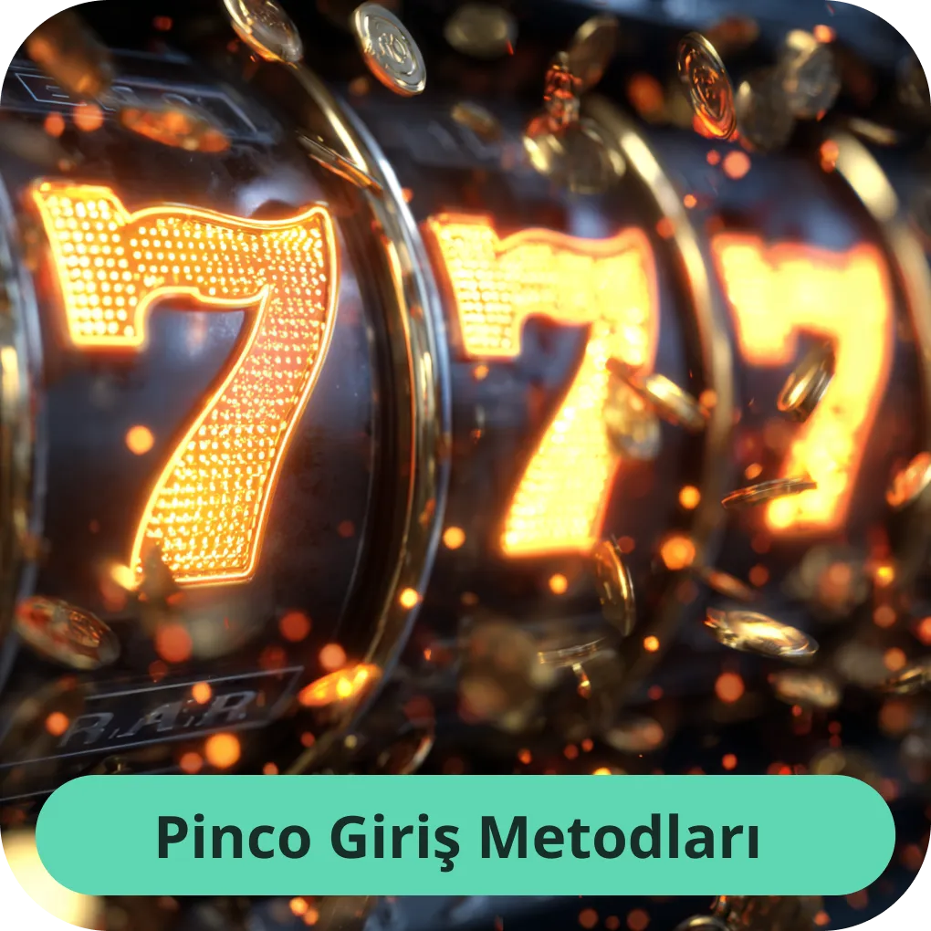 Pinco Giriş Metodları